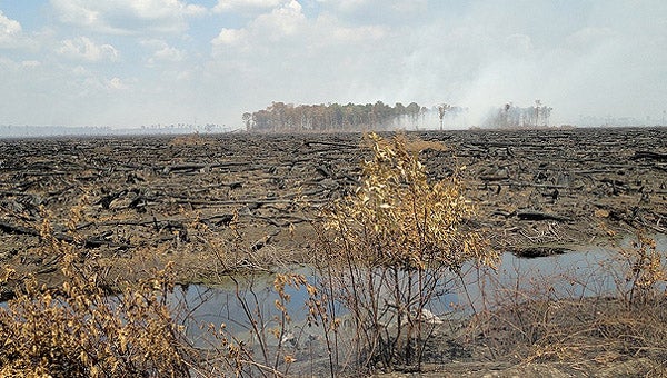 Swamp fire nearly out - The Suffolk News-Herald | The Suffolk News-Herald