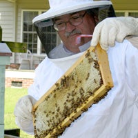 Beekeepers buzzing about new program - The Suffolk News-Herald | The ...