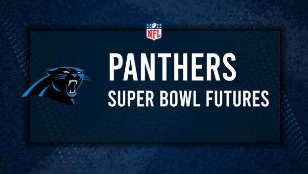 Carolina Panthers Super Bowl and NFL Playoff Odds